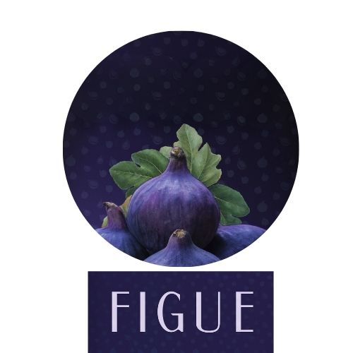 Figue